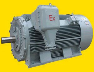 南陽YB2系列高壓隔爆型三相異步電動機